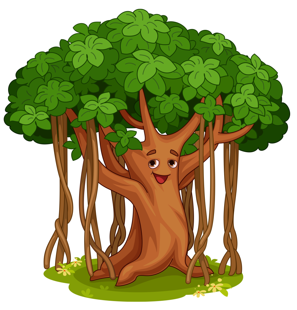 tree